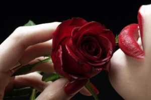 Red Rose & Red Lips603384805 300x200 - Red Rose & Red Lips - Rose, Purple, Lips